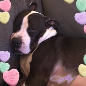 Meet your Posher, Sharon